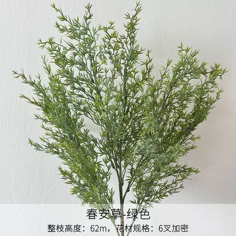 춘안초 - 전체 줄기