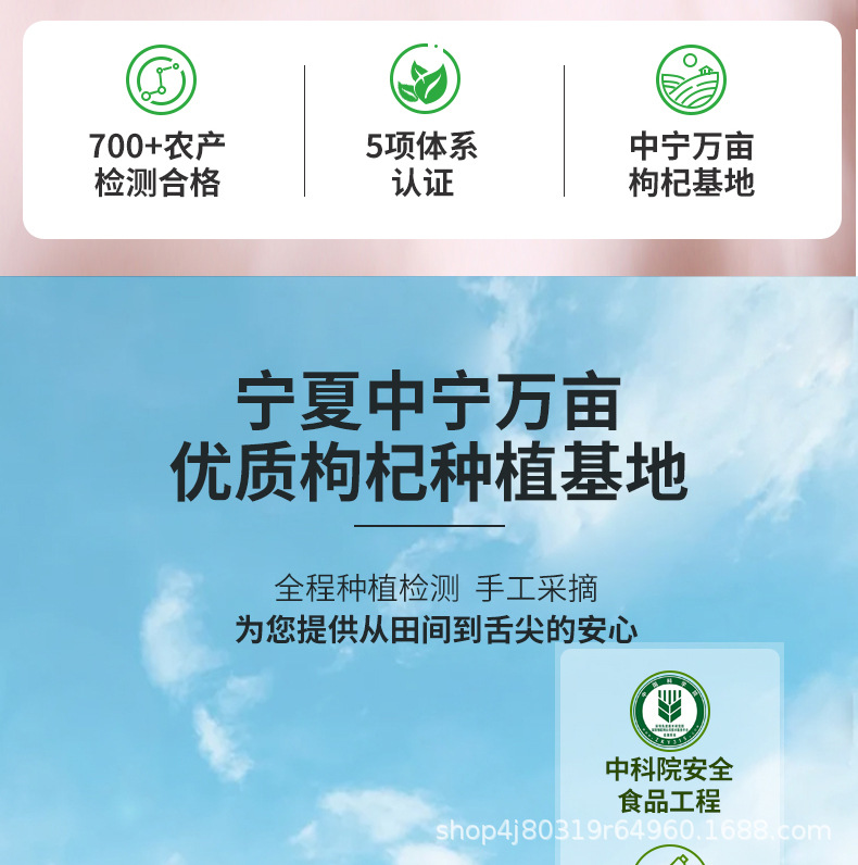 Goji Berry NFC Juice Concentrate Ningxia Fresh Wolfberry Drink 500ml specifications