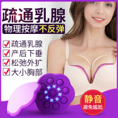 胸部マッサージ器 家庭用電動乳房ケア器 美胸温湿布美容機器 胸部理学療法器