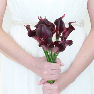 Calla lotus flower style fresh real mini lotus Pu5 set flower home wedding decoration with flower arrangement Qin Xuan