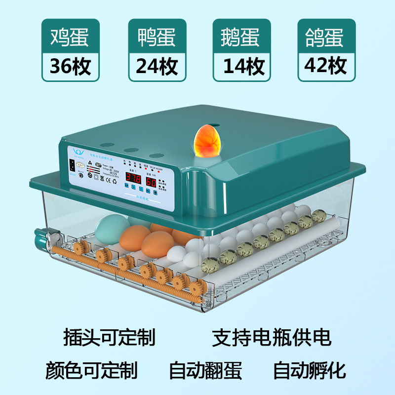 家庭用孵化器ひよこ孵化器小型家庭用孵化機全自動知能鶏鴨ガチョウ鳩孵化機|undefined