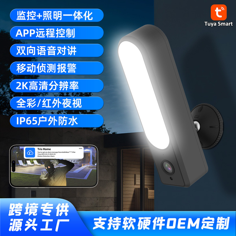 Factory Direct Sales Graffiti-Style Garden Light Camera Waterproof Tuya Remote Control Cross-Border Popular Wireless Smart Surveillance