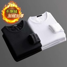 纯色冬季加绒保暖内衣男士秋衣青年可外穿单件上衣大码打底衫