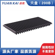 ��Ѩ�P��200B�����S�����l���|Ѩ�P  �����