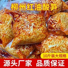 �t����S50������������·�ی���������S�z�V���׷۶����u��