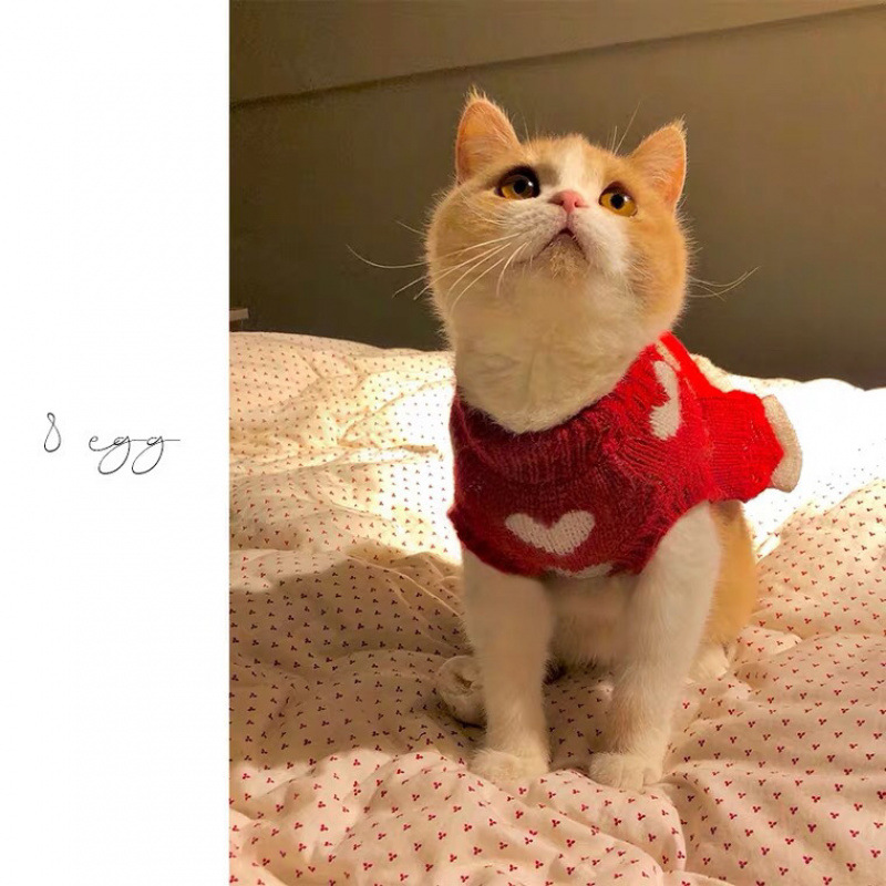 애완 동물 원피스 케이크 공주 원피스  사랑 가을 겨울 INS 고양이 옷 애완 동물 개 원피스 스웨터 니트 스웨터