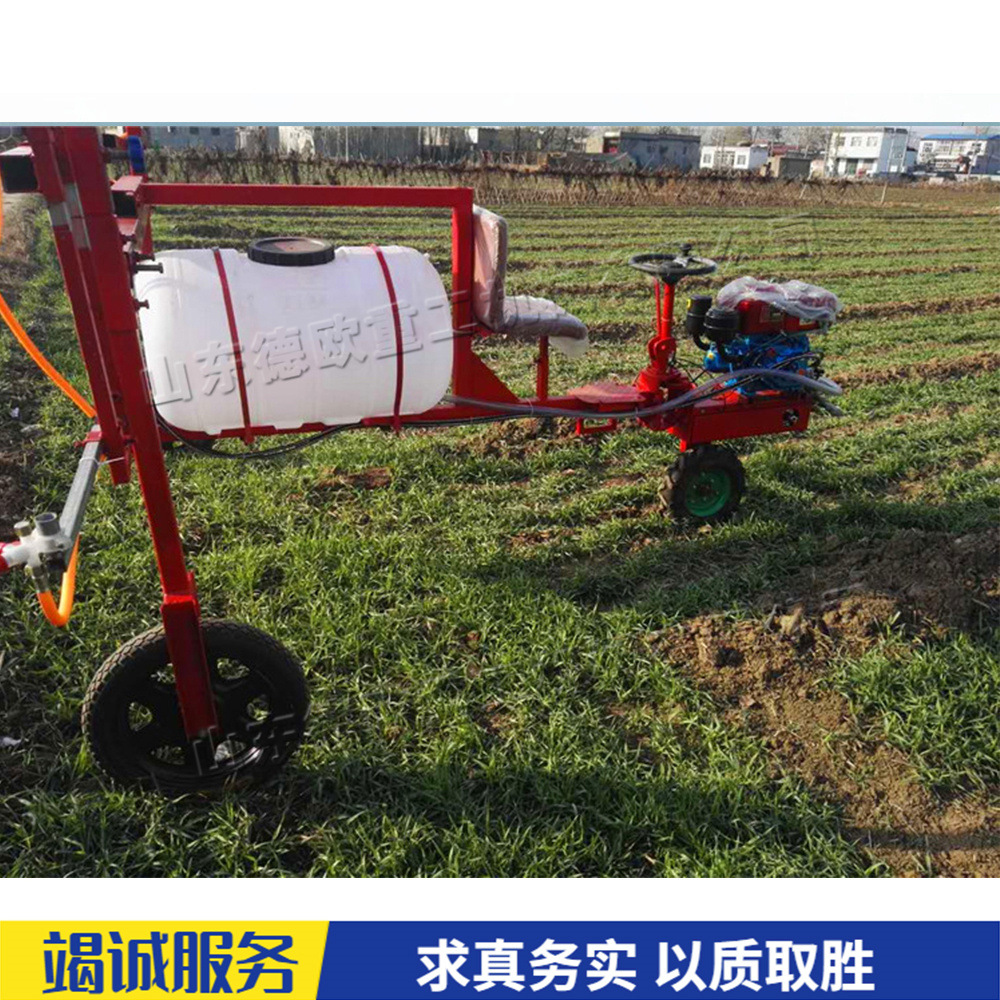 座驾式自走喷雾机 果园苗圃三轮打药机 农业用大棚病虫害喷药机
