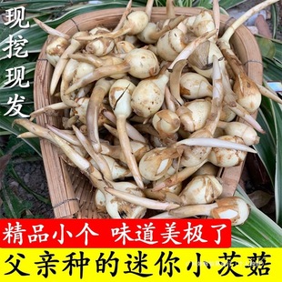 ����С�Ĺ�������r�״Ĺ��F�ڰ��R���r���ԷN�ȹ÷�Ŵ��β���߲�