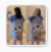 factory summer new pattern Short sleeved Nightdress Outside the single Cartoon Sweet girl Easy Large Culture Home Furnishings