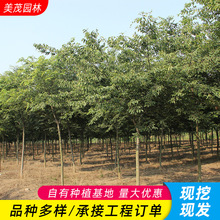 �Θ����������l�@�ֹ������~��ľ�G����ľ�ֵ�ͥ�a�L���t�Θ���