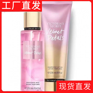 �S��������������Շ��FVS���w�鱣���̝����w��Ů���bͬ����
