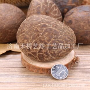 ������diy��̲��ϴ���С���ִ������ְѼ���Ƥ�����Ӱ���Ȼ�L