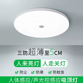 吸顶灯;吊灯;其他室内灯具
