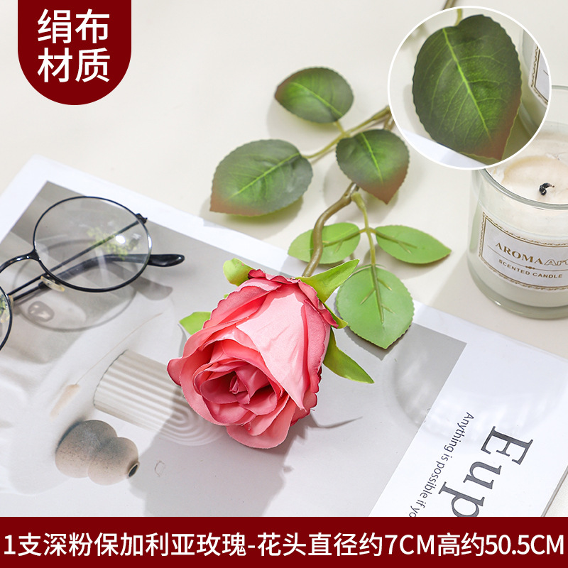 단두 불가리아 1가지 - 다크 핑크