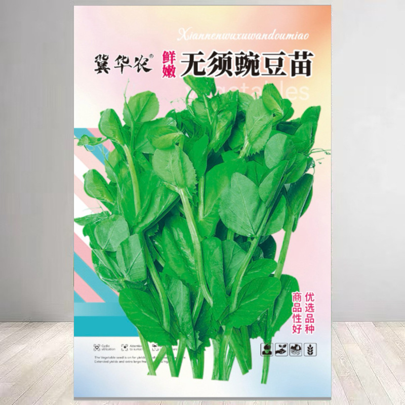 [Specialized in Eating Leaf Tips] No Need for Pea Seedling Seeds, Easy to Grow Pea Tips, Fresh and Tender Balcony Garden Sprouts, Autumn Rapeseed Vegetables