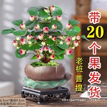 �ļ�������С��������辰�k���҃�ˮ����B�U�⻨��С�Gֲ������