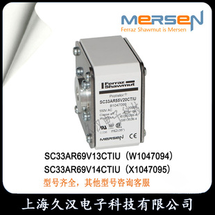 Roland SC33AR69V13CTIU/W1047094 SC33AR69V14CTIU/X1047095 fuse