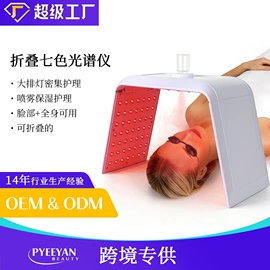 电子美容仪;面罩美容仪;其他美体瘦身