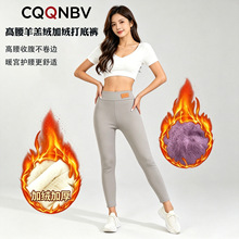跨境高腰加绒羊羔绒打底裤女秋冬保暖外穿紧身提臀弹力芭比裤批发