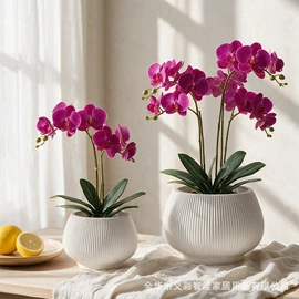 装饰花瓶;花盆装饰;花盆容器