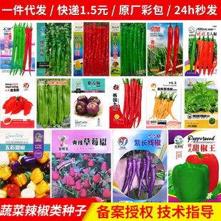 �����N�Ӻϼ��N�Ѷ��G�l�ཷ���������̨�����߲��� �N�Ӵ�ȫ