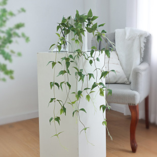 Factory Nordic artificial flower clematis leaf home decoration soft green plant artificial flower rattan simulation plant wholesale
