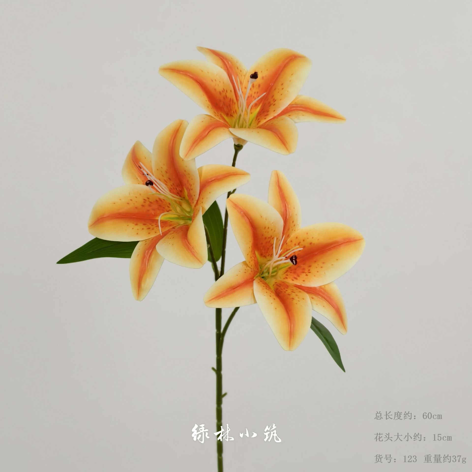 품목번호 123-삼두백합-오렌지