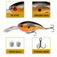 Floating Crankbait Fishing Lures Hard Baits Bass Trout Fresh Water Fishing Lure