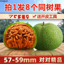 Һ˰yñǪ{^뻢^ҰҾ֌