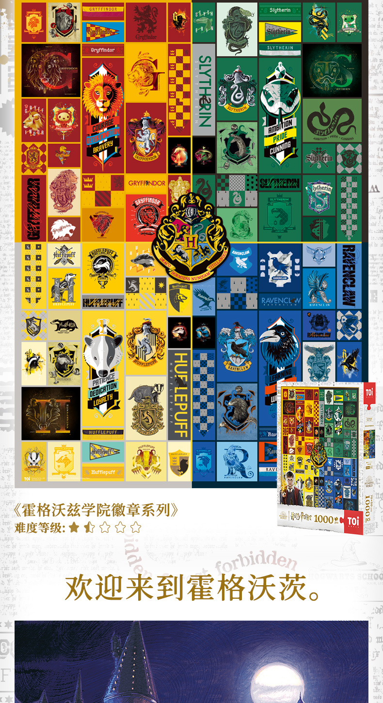 TOI哈利波特拼图