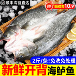 开背鲈鱼七星鲈鱼去鳃去鳞去内脏净鱼鲜冻海鲈鱼水产商用批发代发