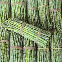 铁皮石斛一斤装/基地直发新鲜石斛500克批发浙江品种铁皮石斛鲜条