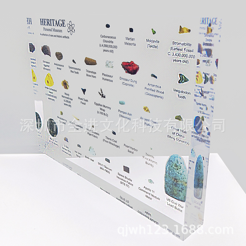 自然历名博物馆标本迷你版毕业中高考谢师七夕情人节生日礼物摆件