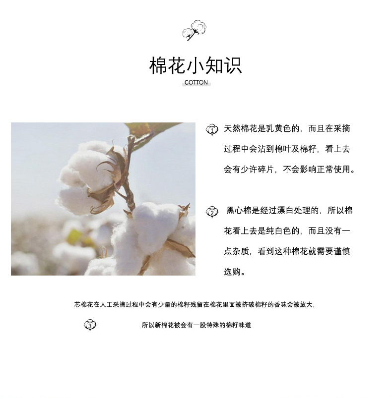Xinjiang Baumwollbettdecke verdickt Baumwolldecke Herbst-Winter Decke Wärmeschutzdecke Einkern Single Long Staple Cotton Füllung Matratzenauflage Bettunterlage Baumwollpolster