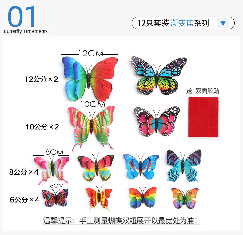 12只彩虹套装蝴蝶详情_06