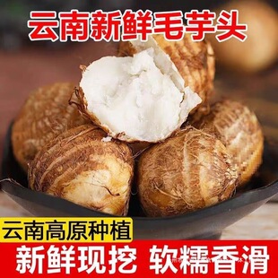 ���r���ţ�����^��ܵС���^���r��ë���^Ŵ5�����l����ȫ�곣��