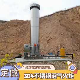 100立方内燃式沼气火炬图片 垃圾场封闭式燃烧火炬