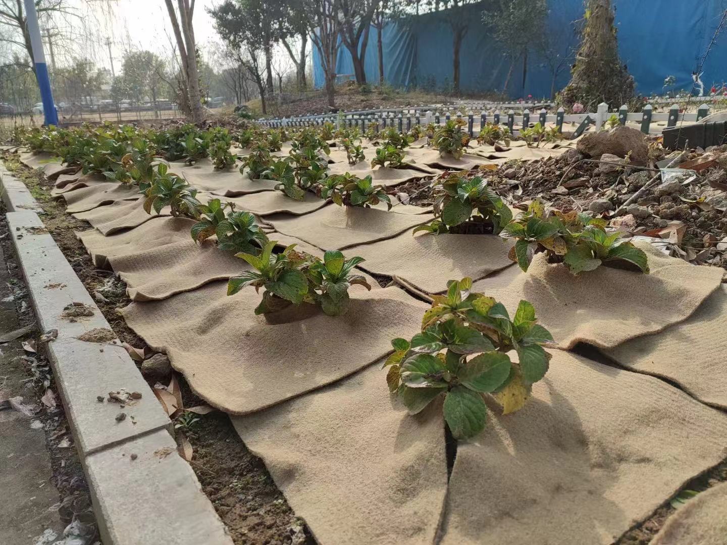 da05a3af693b6f0ce176e467c24317