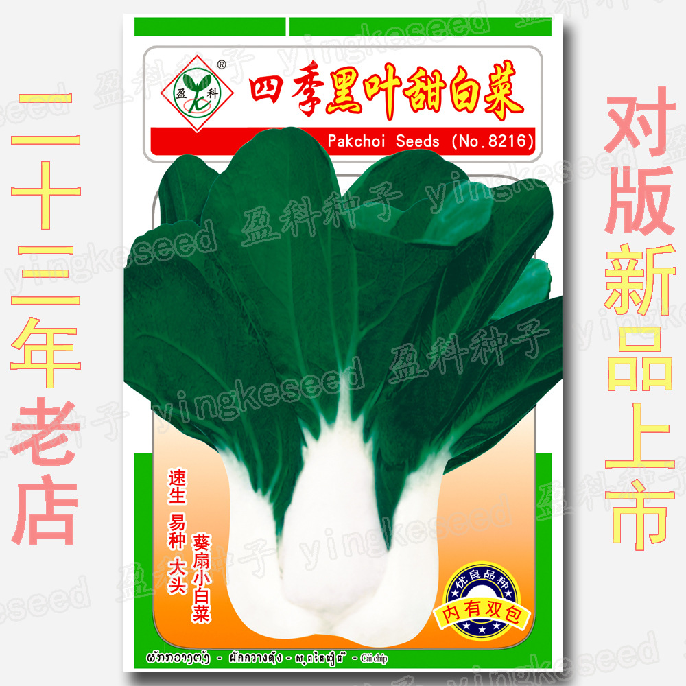 Vegetable Seed Company Easy to Grow Street Stall Flower Lawn Vegetable Seed Wholesale-Four Seasons Black Leaf Sweet Cabbage Vegetable Seeds