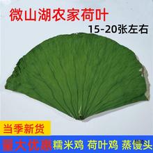 新鲜荷叶整张干荷叶包糯米鸡250g炸鸡荷叶鸡叫花鸡500g