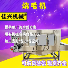 牛羊全自动猪蹄机猪头设备烧毛连续式羊蹄头燎羊头烧毛毛机