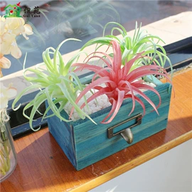 盆景;仿真绿植;盆栽