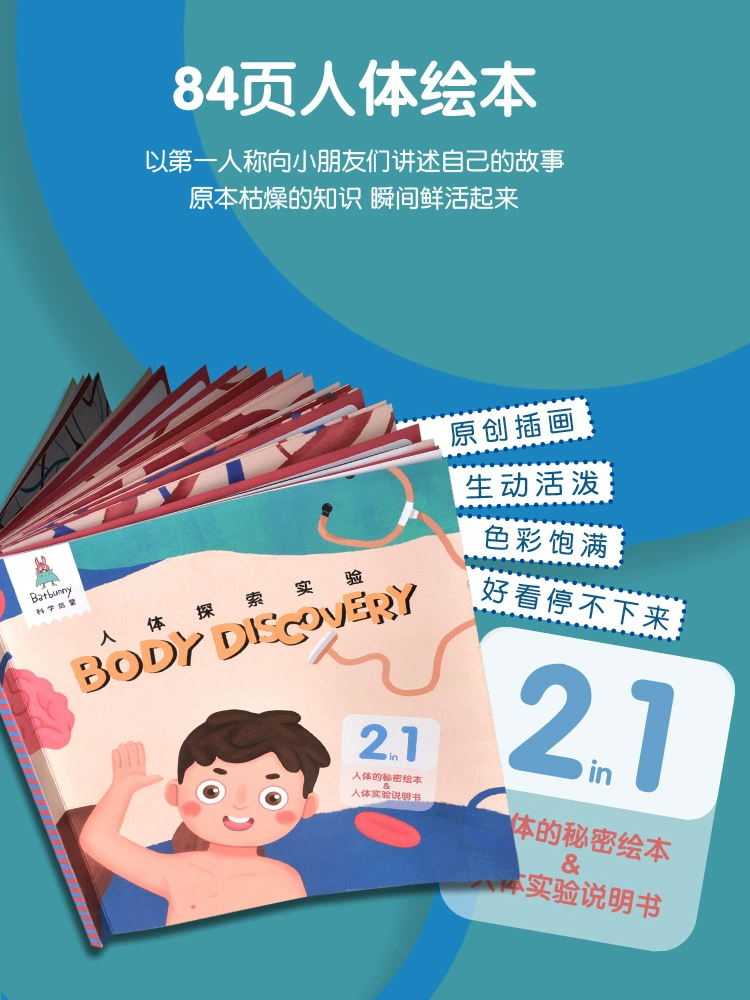 Physiological material for experiments, toy for elementary school students, handmade, science, body organs