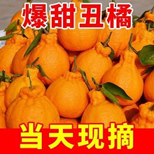 ��ɽ���ٳ�˹�9�ﮔ�����rˮ�����ӰҰ����γ����������ӬFժ