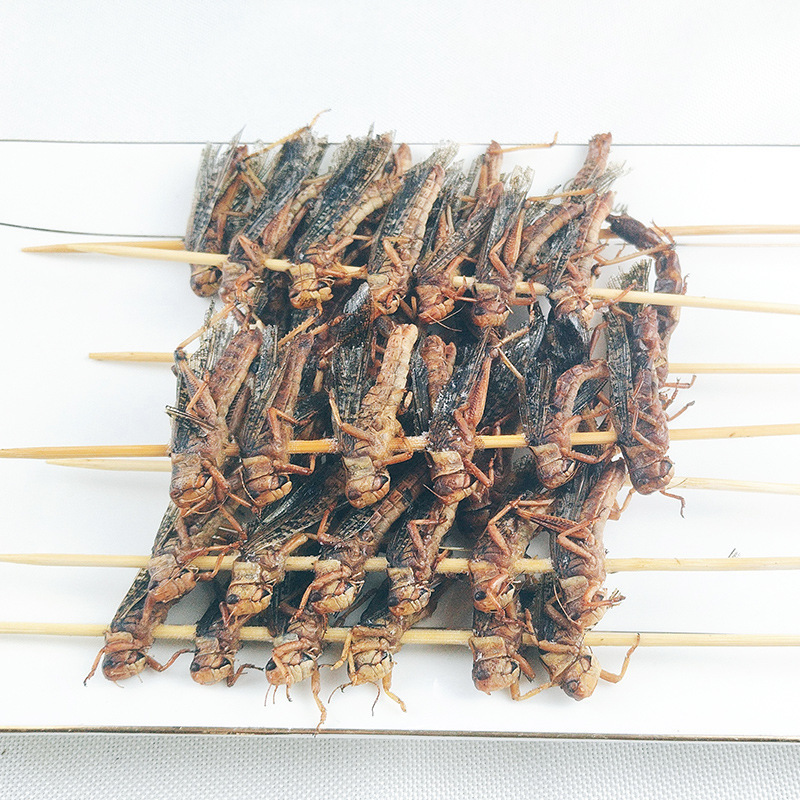 메뚜기꼬치 20꼬치