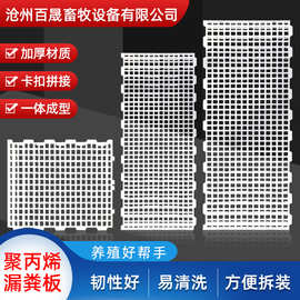 鸡用漏粪板鸡鸭鹅家禽接粪板小鸡保育床鸽子鸡舍养殖设备机械机械