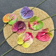 ����t��EVA�Ʒ��滨�������õ��Ų廨�Ҿ��b羳�ٻ����滨