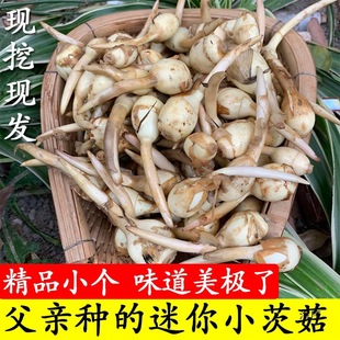 ����С�Ĺ�������r�״Ĺ��F�ڰ��R���r���ԷN�ȹ÷�Ŵ��β���߲�