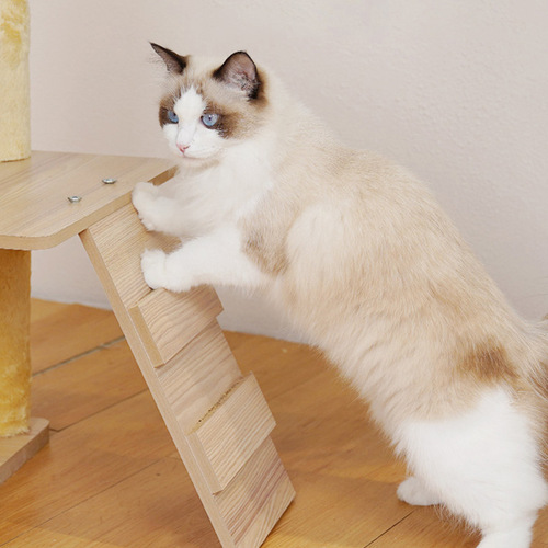 Cloud Meow Environment Cat Tree Cat Bed Cat Tree Integrated Cat Scratch Post High-Level Cat Stand Spacecraft Large Cat Pet Supplies