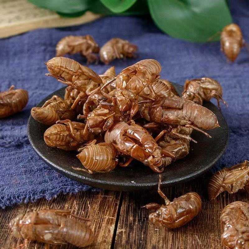 Cicada Slough Chan Tui 500g Dried Whole Shells Traditional Chinese Herb for Decoction quality and texture